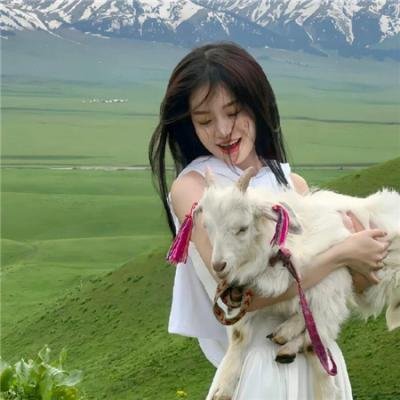 梅菲尔女巫